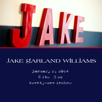 Jake Williams Book